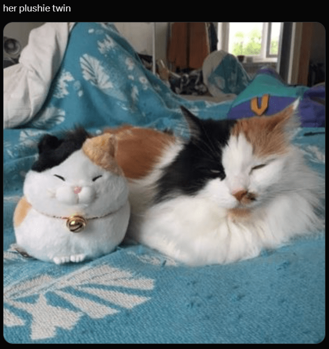 her-plushie-twin