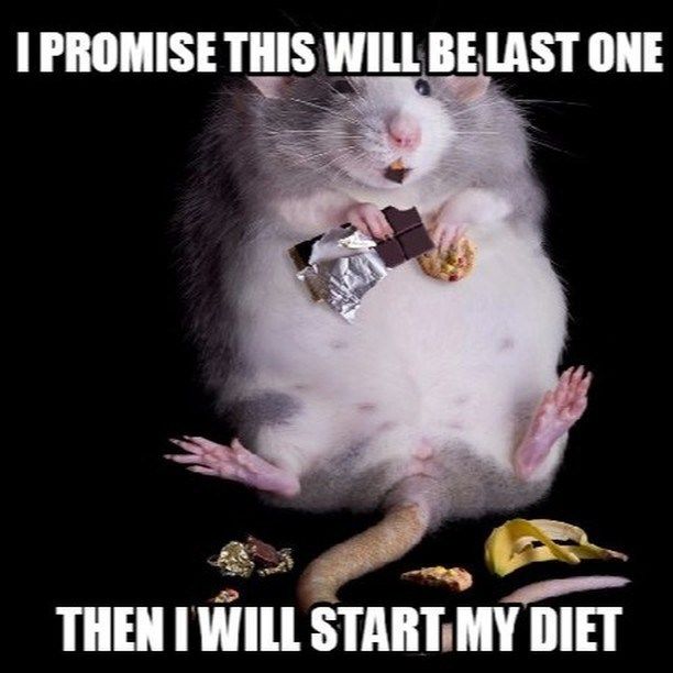 promise-this-will-be-last-one-then-will-start-my-diet