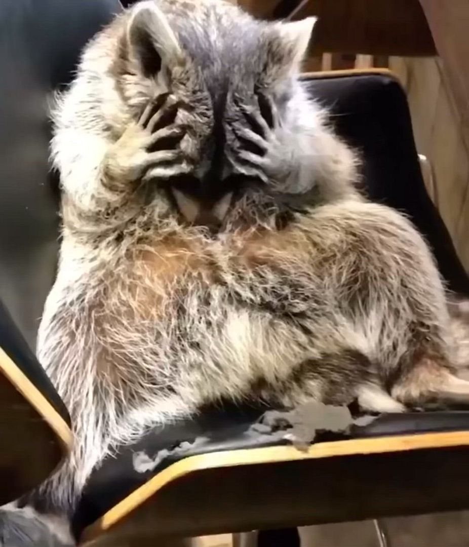 4d39435aa5023040c5b93b5c3f0ca1f9.0000000-2407095939