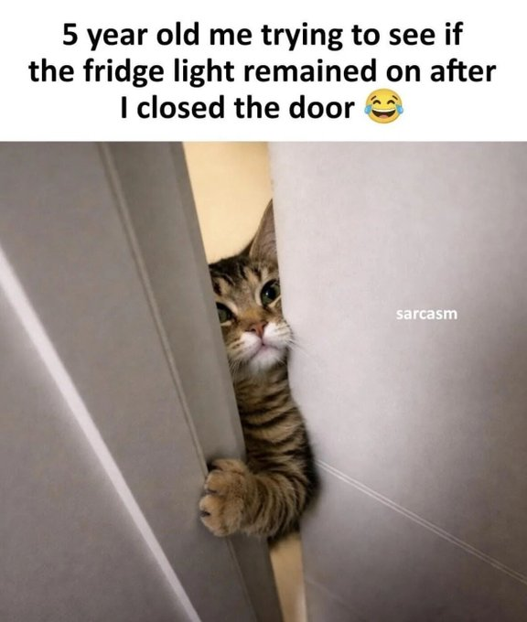 5-year-old-trying-see-if-fridge-light-remained-on-after-closed-door-sarcasm