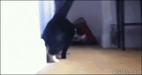 cat sup