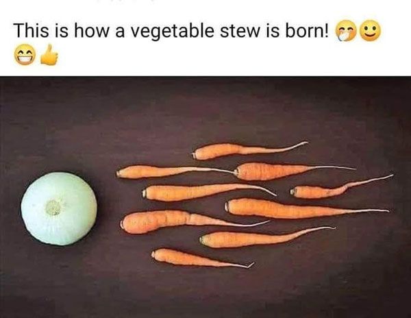 stew