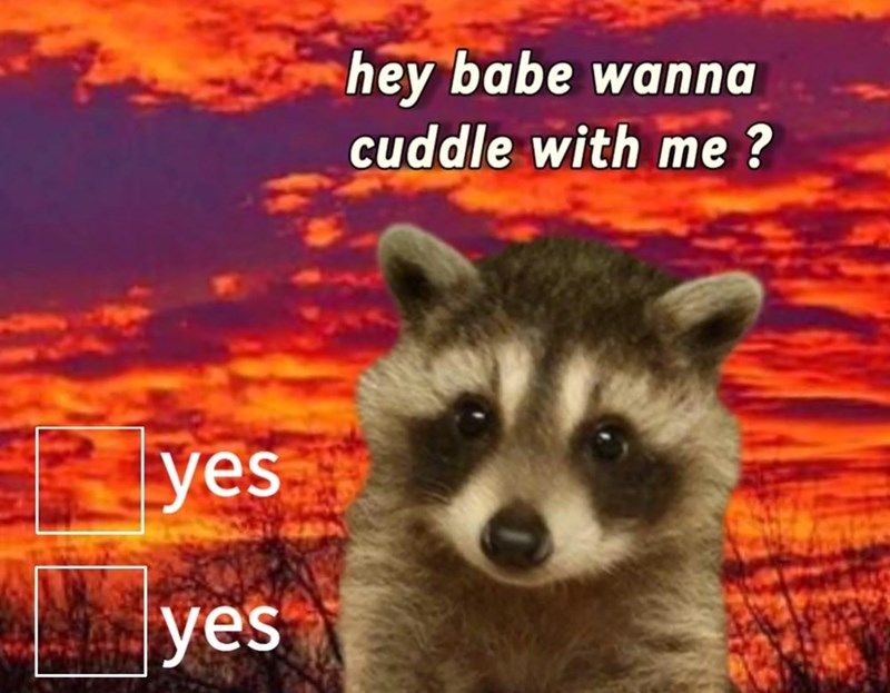 yes-yes-hey-babe-wanna-cuddle-with