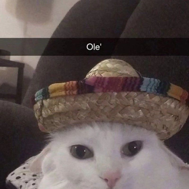 ole