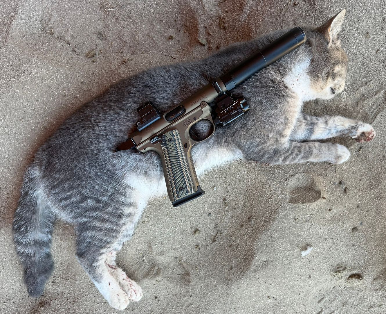 Photobucket. 4 2026 Dead Critter Thread …. - 24hourcampfire