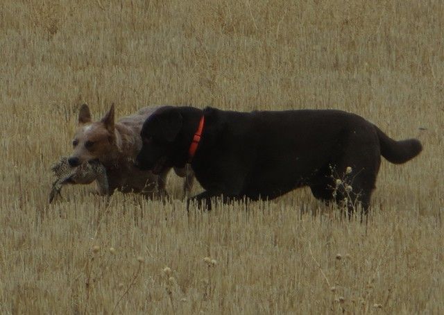 7b5eb618-c37e-4c36-a324-1da88c30c4f8.jpg