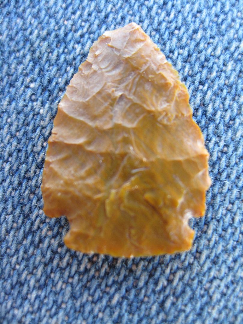 a2fdc719-82c1-47e7-b99b-3e57313dd1c5.jpg