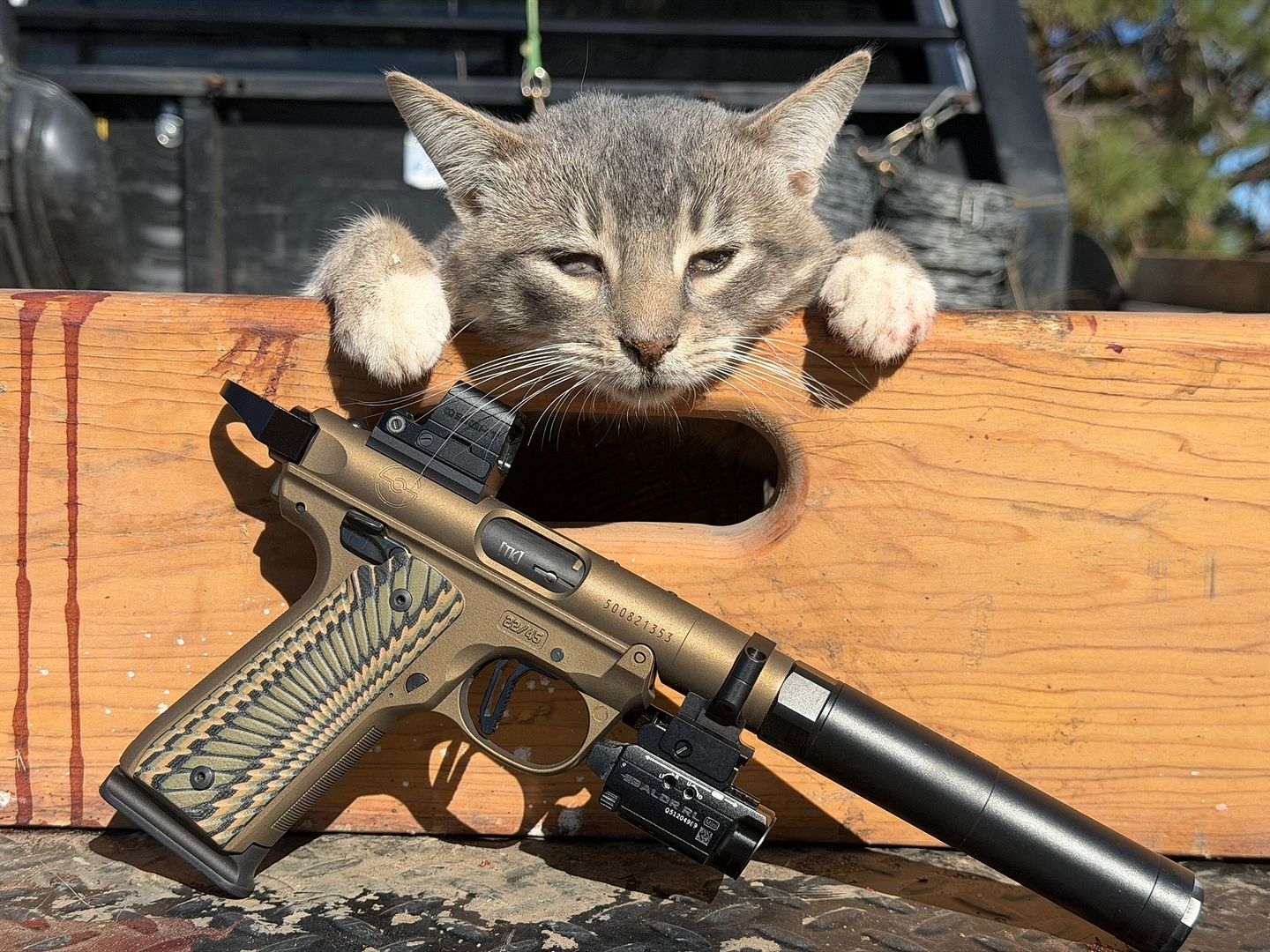 Photobucket. 4 2026 Dead Critter Thread …. - 24hourcampfire