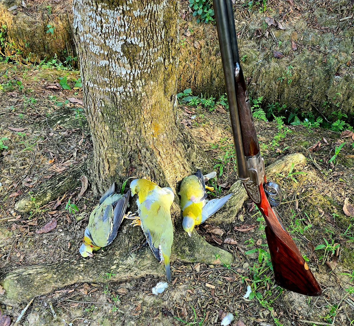 [Linked Image from hosting.photobucket.com]