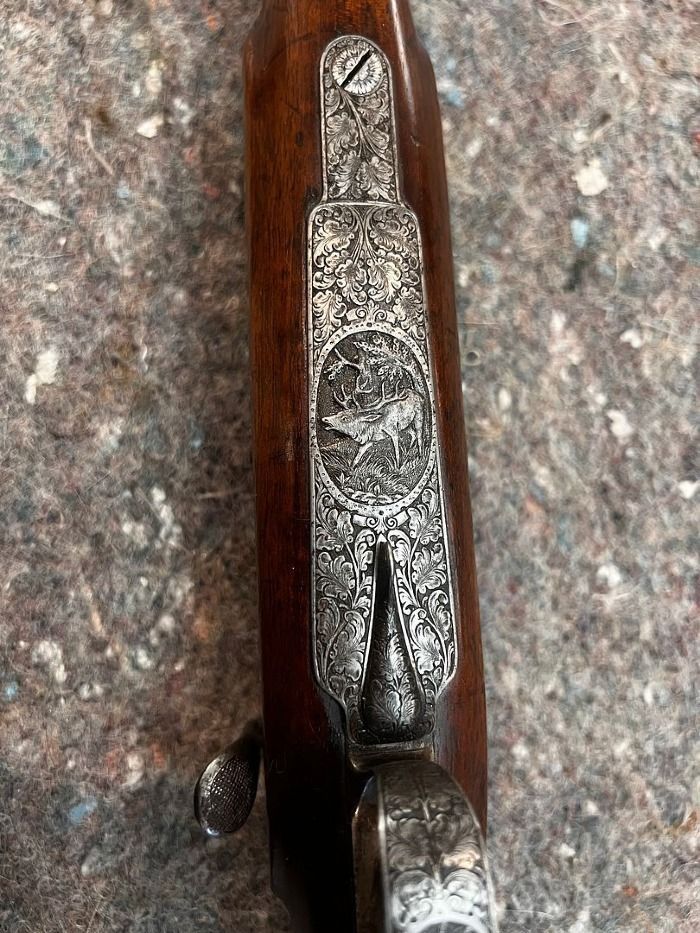 [Linked Image from hosting.photobucket.com]