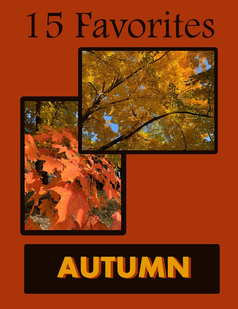 15FAVautumn