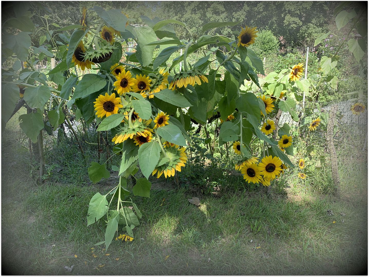 unnamed (58) (2)