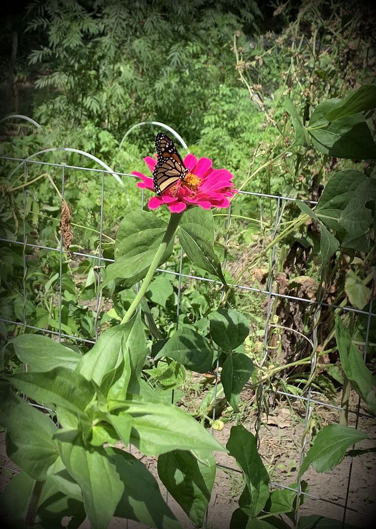 unnamed (33) (2)