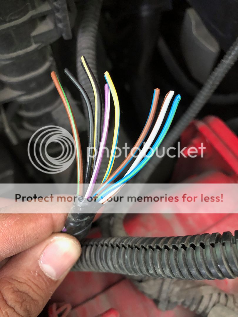 Headlight wire diagram Ford Focus ST Forum
