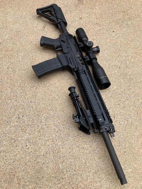 Sig 556 Dmr Collectible Or Just Another Marketing Failure? - Ar15.com