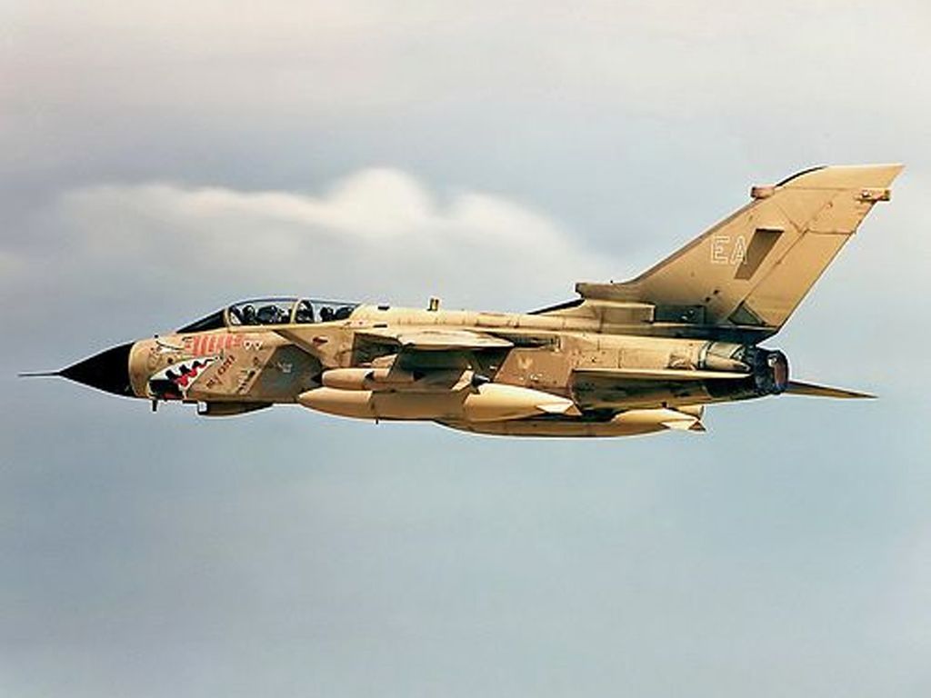 1991 Panavia Tornado GR1 'Mig Eater'