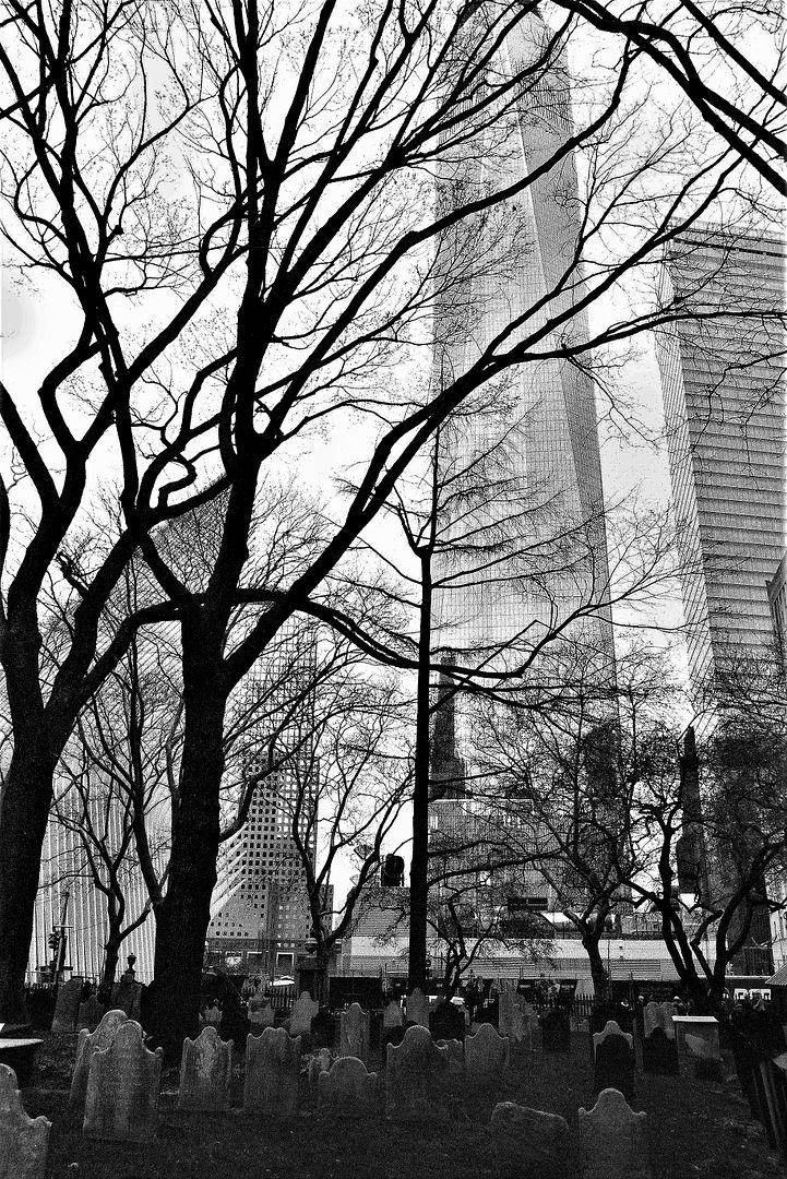 027_(10).jpg