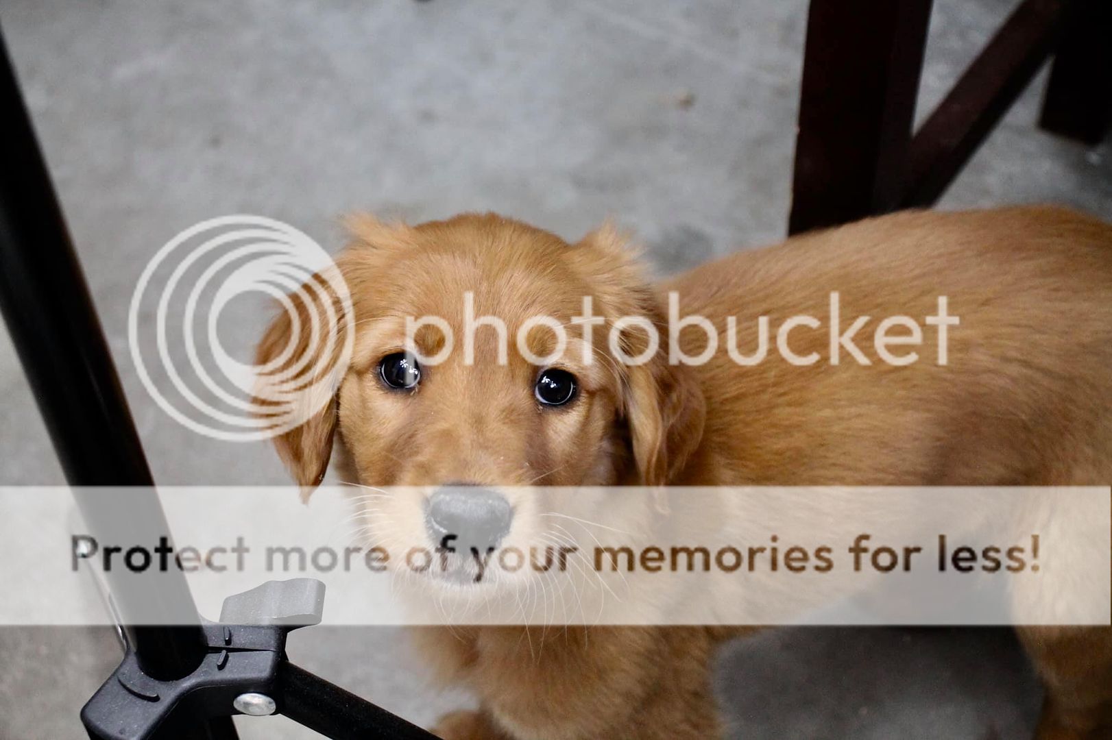 Photobucket - Video and Image Hosting