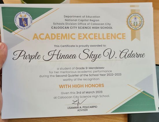 Caloocan Science High School Academic Excellence award