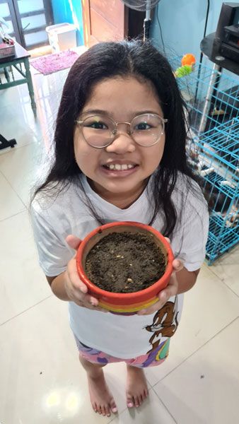 Twinkle with flower pot