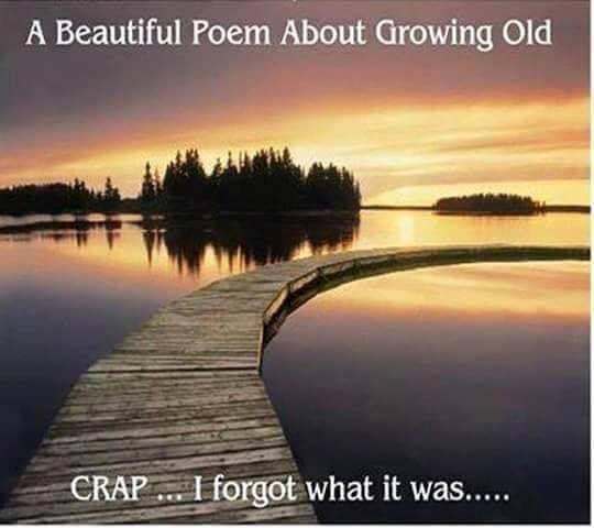 6-1-20_poem_about_gowing_old
