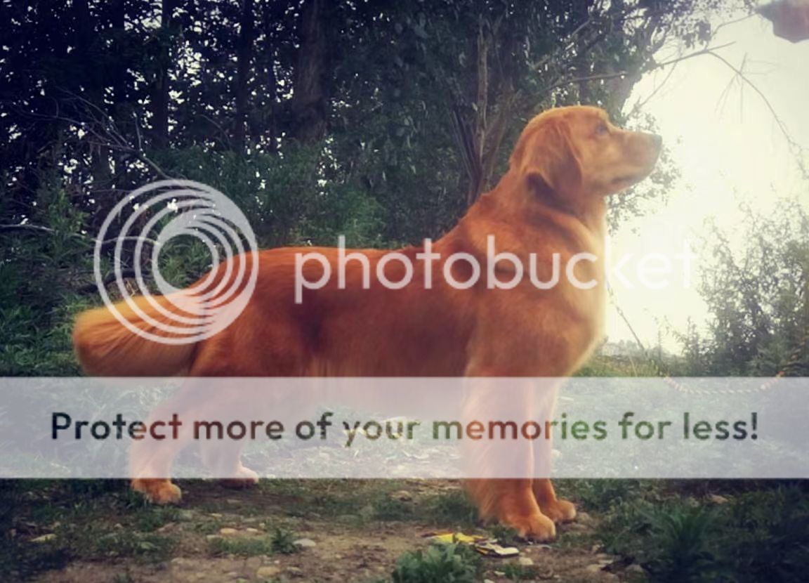 Photobucket - Video and Image Hosting