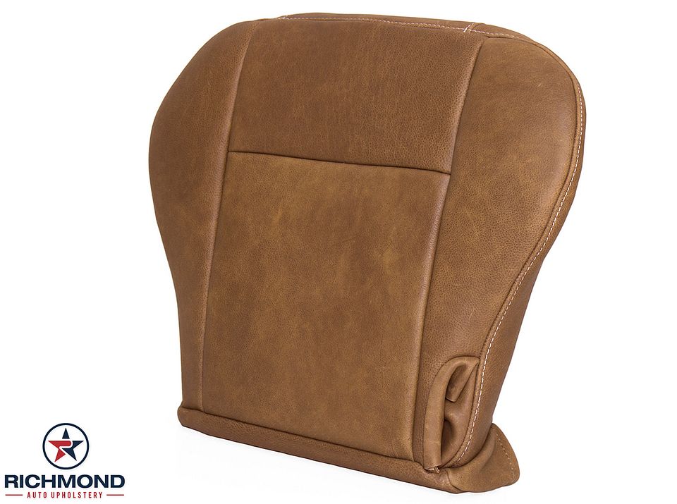 01-03-F150-King-Ranch-Dri-Bot-11