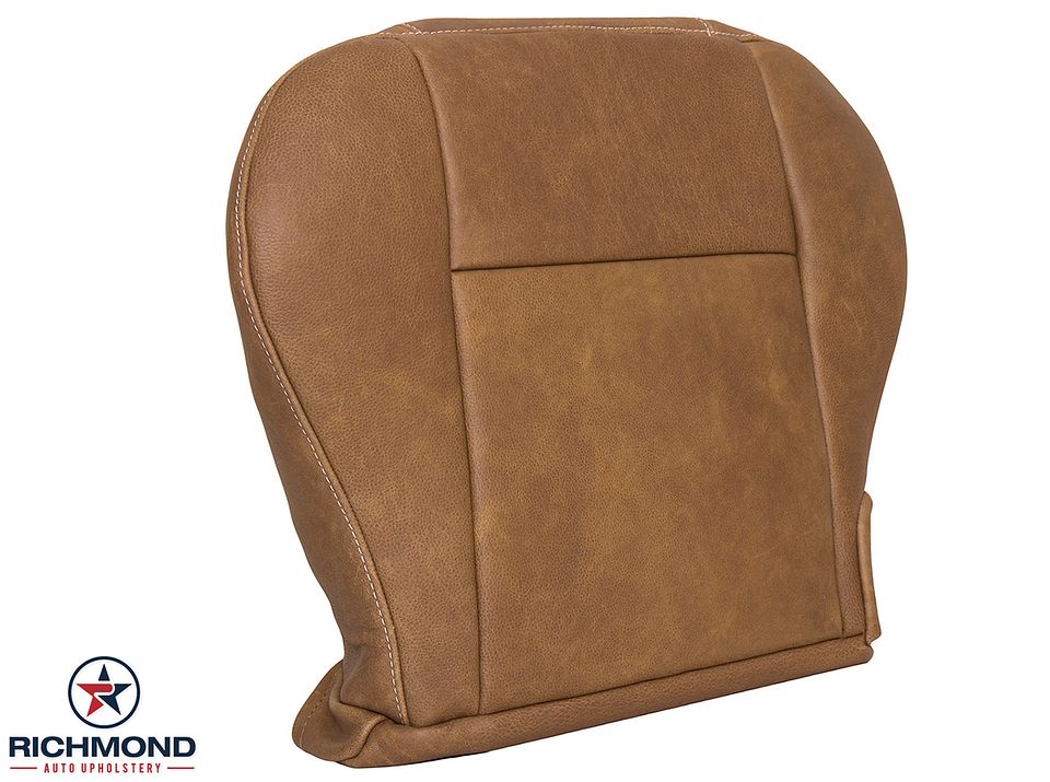 01-03-F150-King-Ranch-Dri-Bot-14