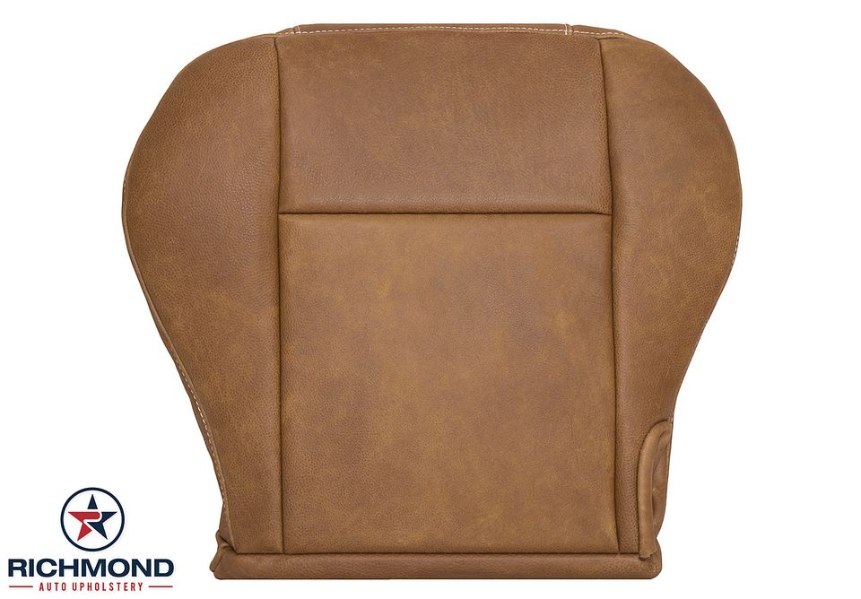 01-03-F150-King-Ranch-Dri-Bot-15