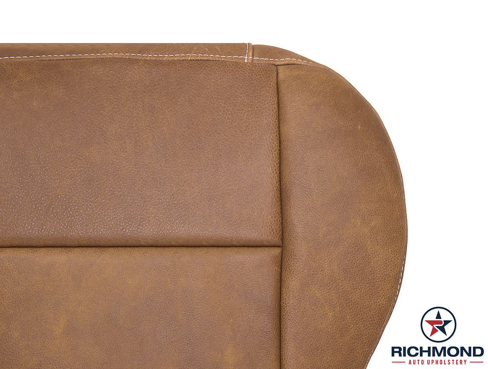 01-03-F150-King-Ranch-Dri-Bot-2