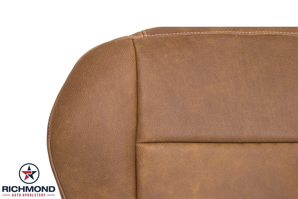 01-03-F150-King-Ranch-Dri-Bot-3