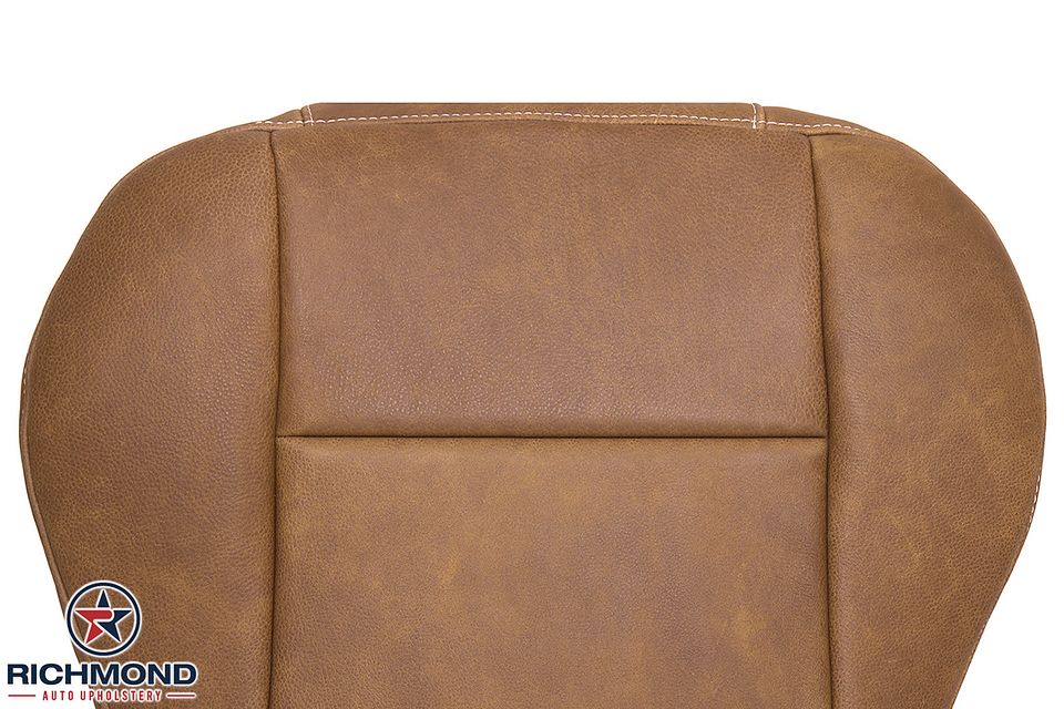 01-03-F150-King-Ranch-Dri-Bot-5