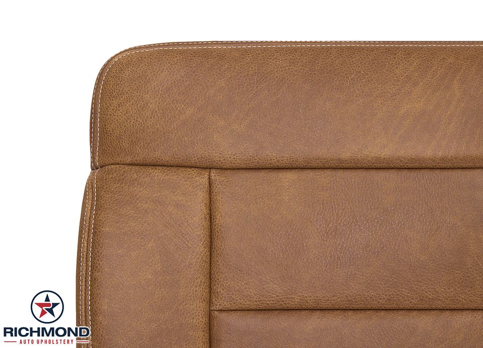 04-08-F150-KingRanch-Dri-Bot-3