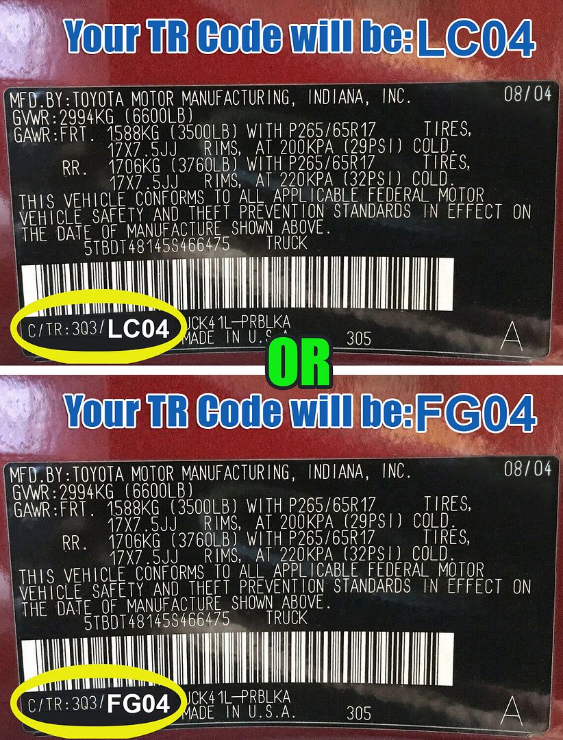 TRM-Tan-Toy-Highlander