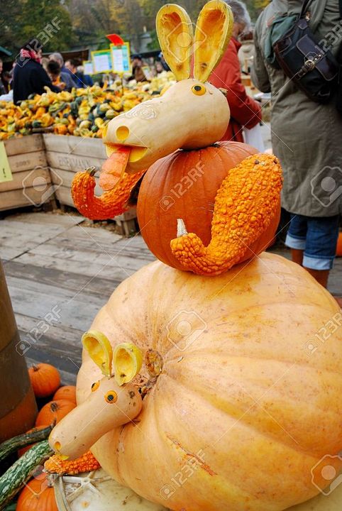 4997366-Pumpkin-statue-of-kangaroo-and-baby-kangaroo-on-Ludwigsburg-pumpkin-feast-Germany-Stock-Photo_zpseuwendfe