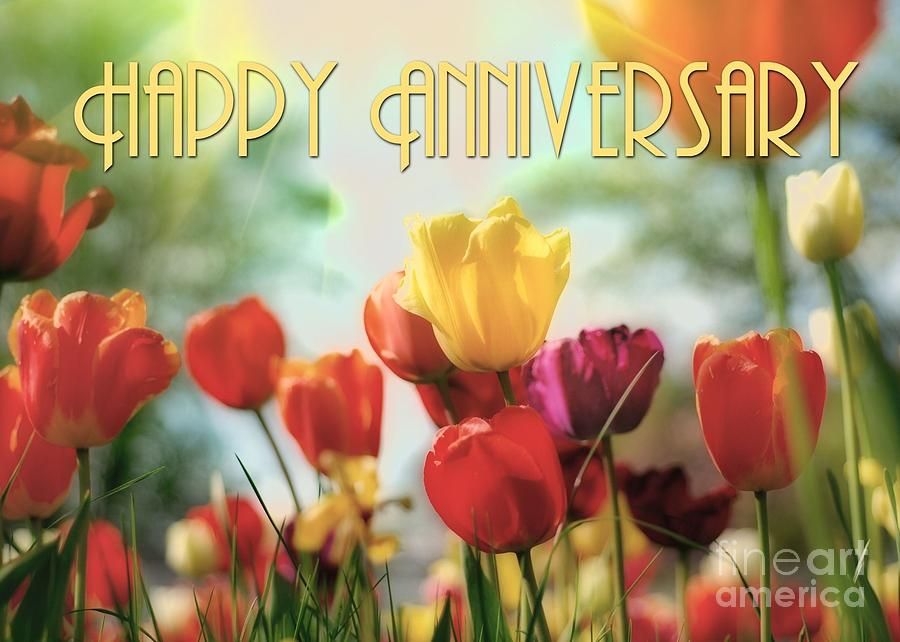 anniversary-tulips-jh-designs