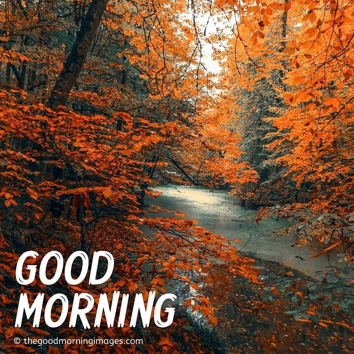 good_morning_fall_images_2