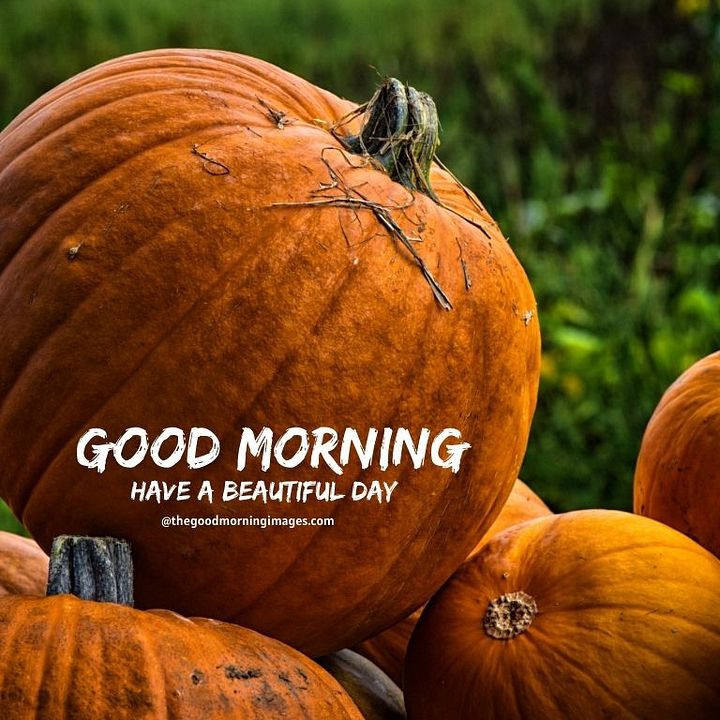 good_morning_fall_images_9