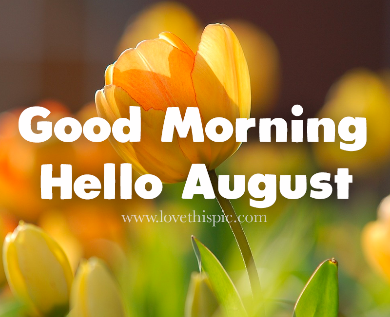 goodmorning_august