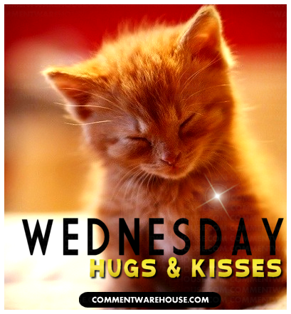 wednesday-hugs-and-kisses-kitten