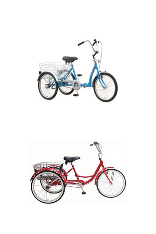 Adult Tricycle
