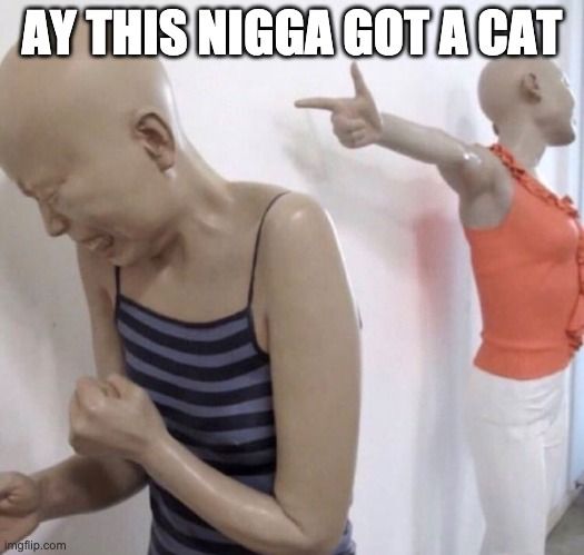 cat.jpg