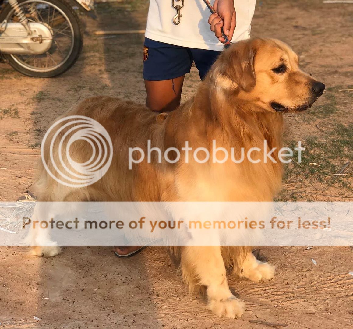 Photobucket - Video and Image Hosting