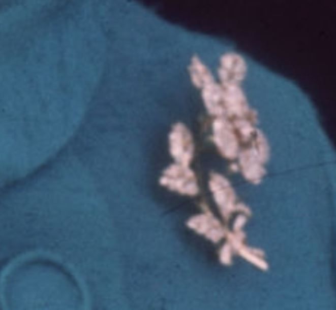 1967_detail