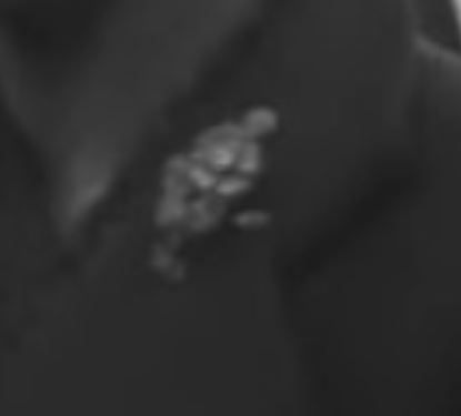 2.25_a_detail_2