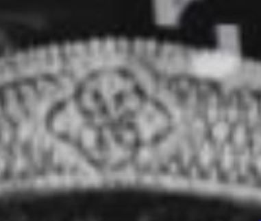 Ward_central_rosette