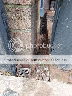 Gap currently full of soil and crap