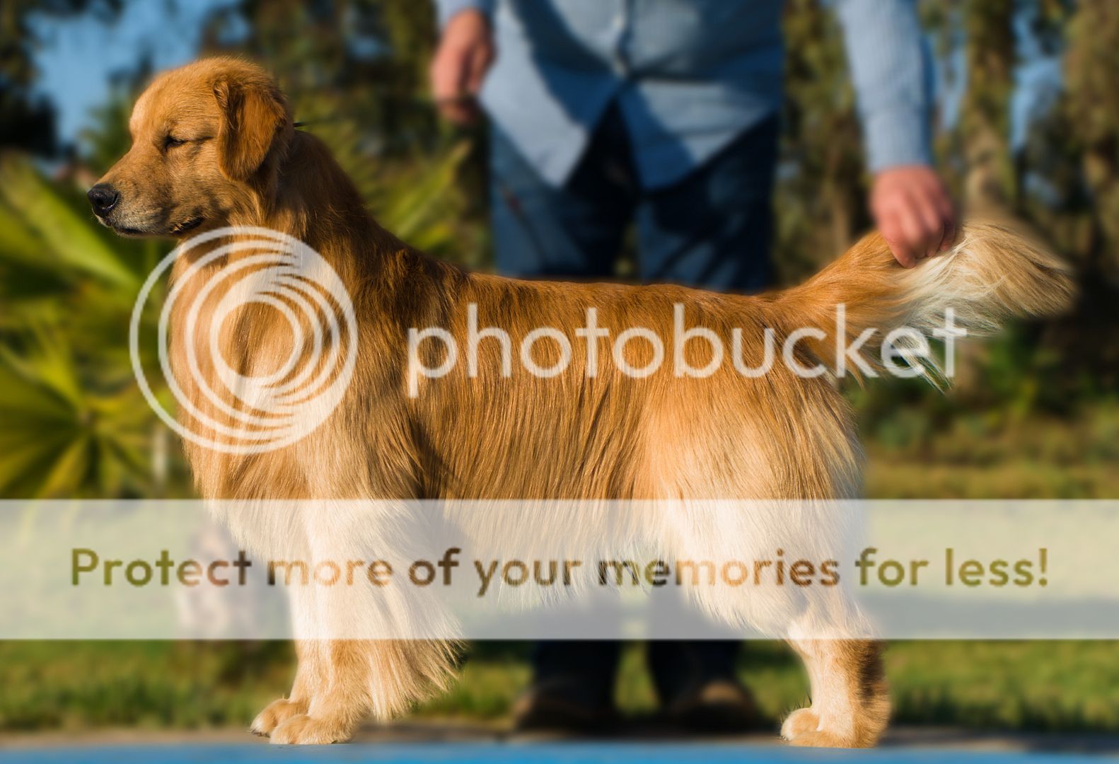 Photobucket - Video and Image Hosting