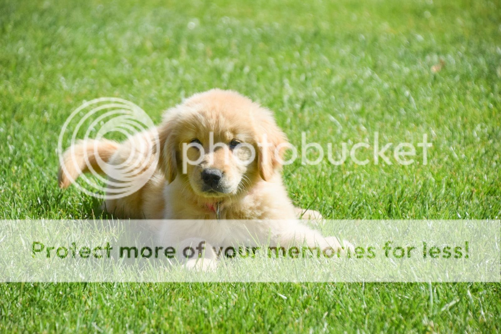 Photobucket - Video and Image Hosting