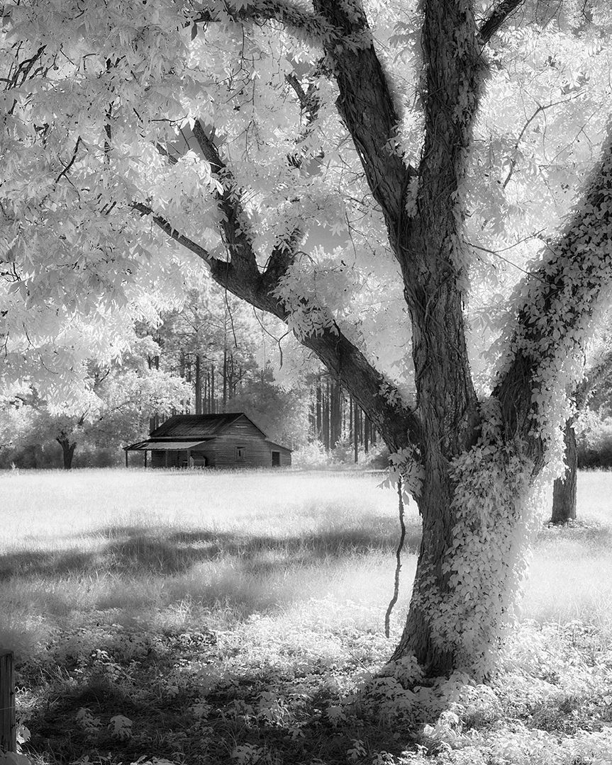 Photo Of the Week